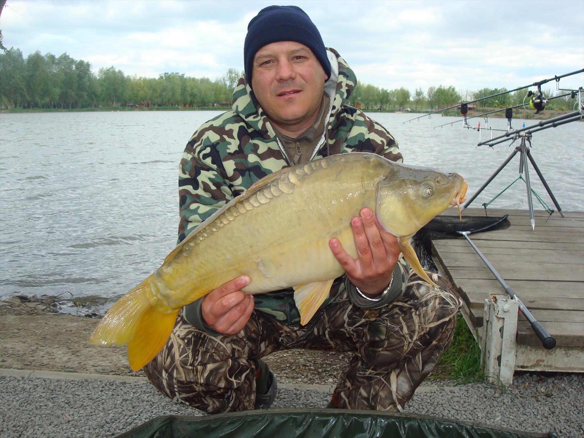 pescuit pe o balta superba - dsc07560.JPG